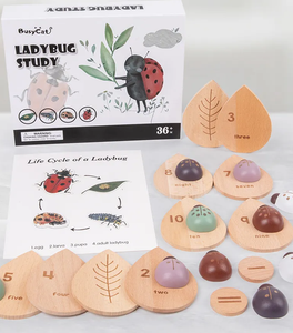Ladybug Study